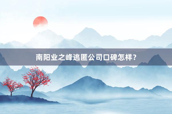 南阳业之峰逃匿公司口碑怎样？