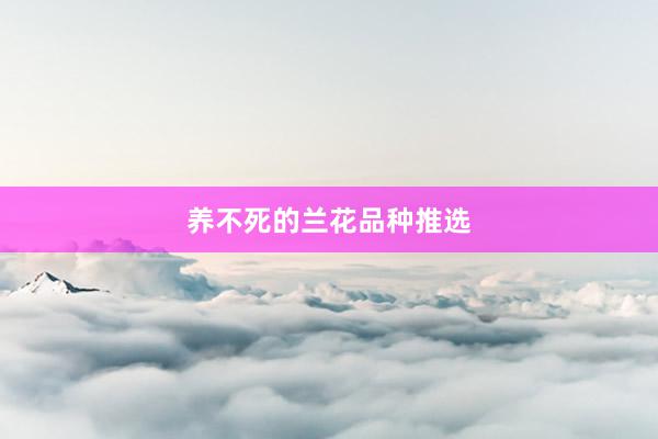 养不死的兰花品种推选