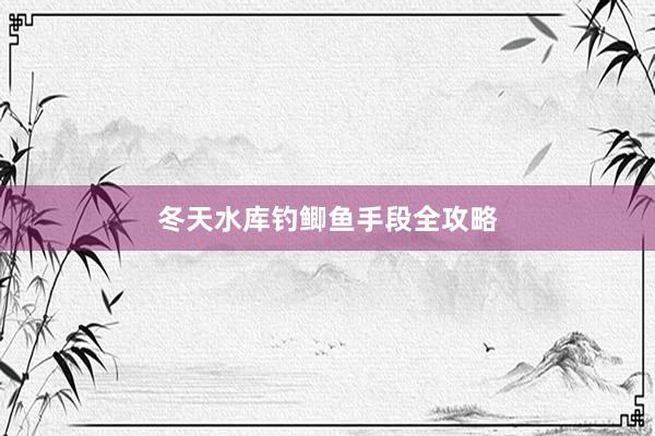 冬天水库钓鲫鱼手段全攻略